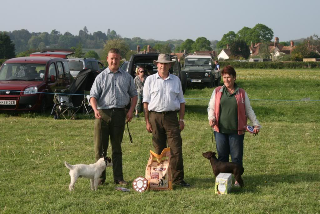 Crewkerne Lurcher & Terrier Show Gamefairs, Meet Up's and Events